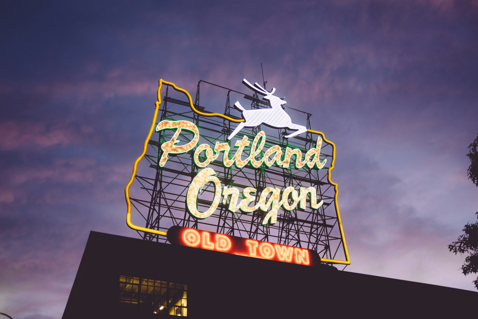 Exploring Insurance Needs in Portland